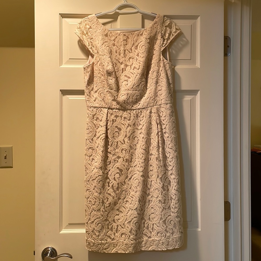 J. Crew Dress